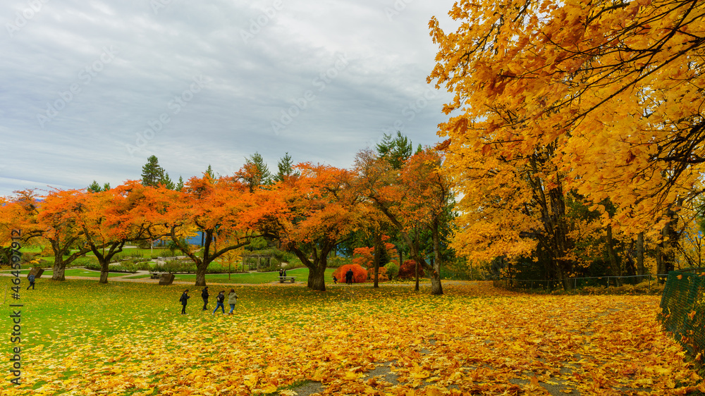 Fototapeta premium Admiring beautiful autumn colours at Burnaby Mountain Park on a cloudy day.