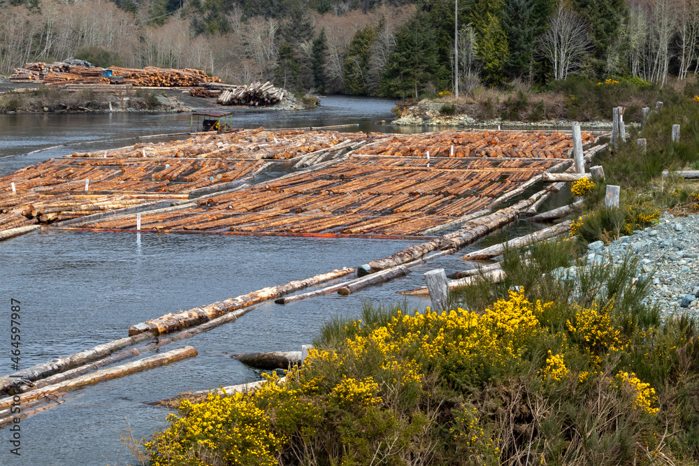 Log boom at the mouth of Jordan River on Vancouver Island, Canada