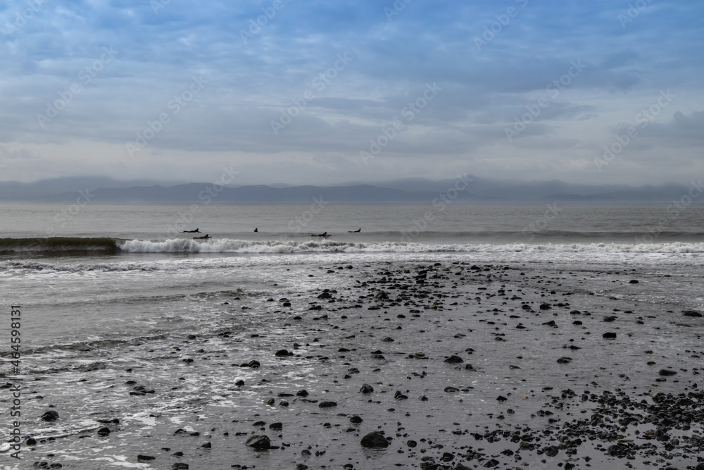 Surfers on the coast of the pacific northwest Surfers on the coast of the pacific northwest