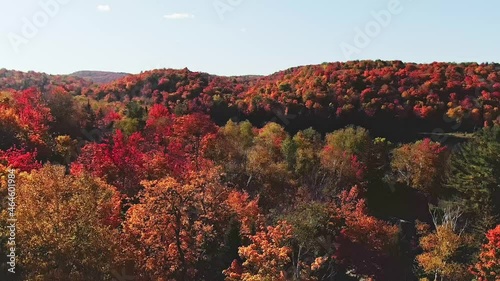 Drone shot rising above autumn colors in the forest with a clear blue sky and a mirror like lake