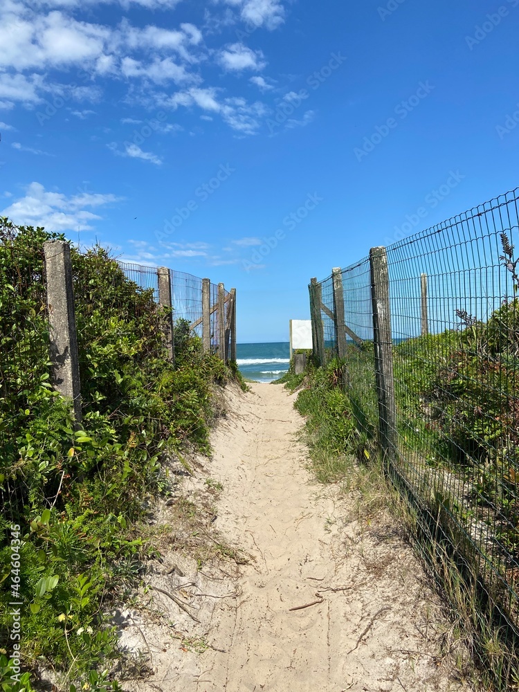 path to the beach