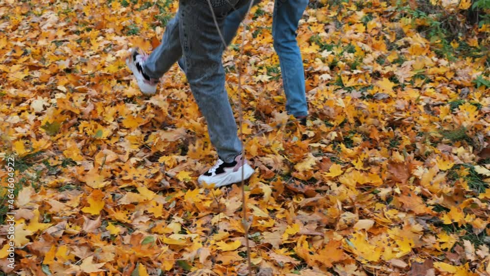 two young girls are walking on fallen yellow leaves in an autumn park kicking the leaves with their feet. two young girls are walking on fallen yellow leaves in an autumn park kicking the leaves with their feet.