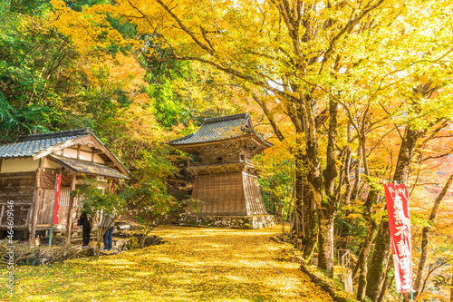 ああ、美しきかな、ニッポンの紅葉