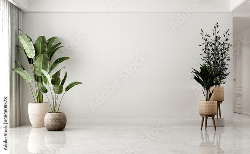 Fototapeta Naklejka Na Ścianę i Meble -  Home and decoration and living room interior design and empty wall pattern background and plants decor
