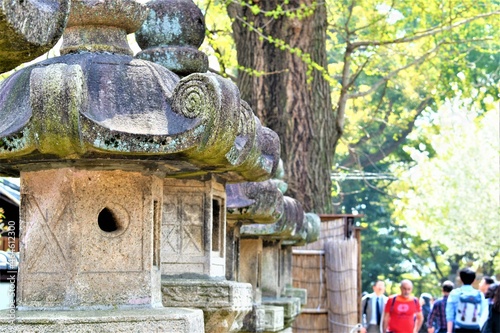 Old stone lanterns line a pathway in a Japanese Shinto temple with tourists and locals passing by