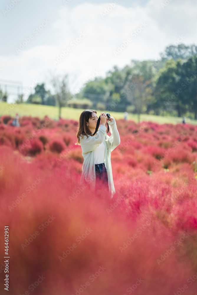 コキアが綺麗な公園で写真を撮るカメラ女子