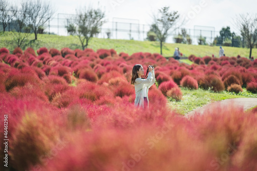 コキアが綺麗な公園で写真を撮るカメラ女子