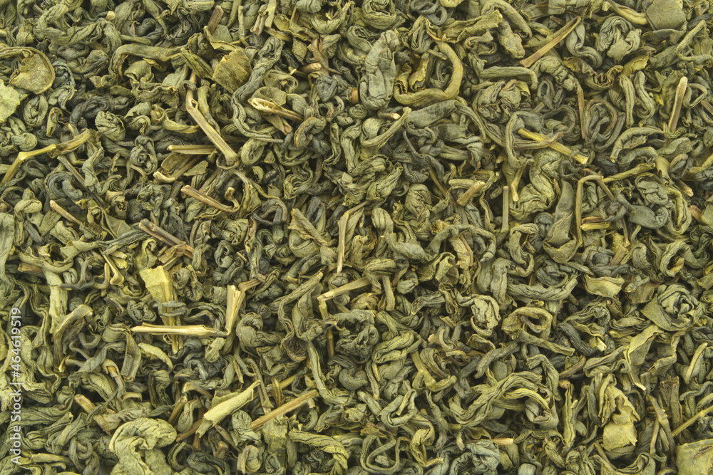 Green tea leaves background or texture Green tea leaves background or texture