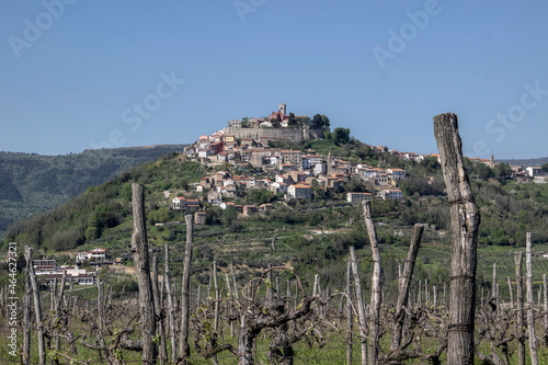 Croatia - Motovun, a small picturesque medieval town located on the top of a hill viewed from the one of surrounding vineyards