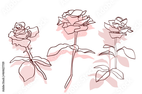 Roses  pattern.Image on a white and color backgroundr.Vector. photo