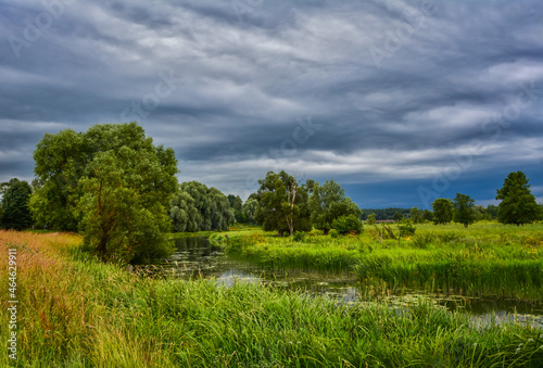 Landscape. Summer day, cloudy sky, river in the grass.