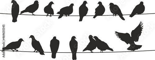 Vector silhouettes of birds. Doves on wires. Shadows of seated and flying birds.
