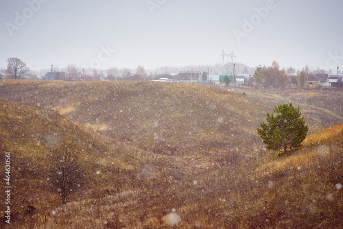 The first snow. Snow flakes fall on the grass and trees. Beautiful rural landscape. The effect of a grainy film.
