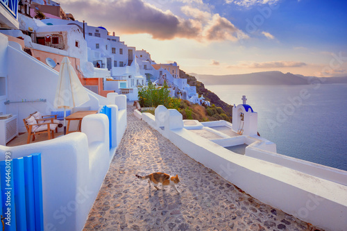 Oia town on Santorini island, Greece. Traditional and famous houses and churches with blue domes over the Caldera, Aegean sea