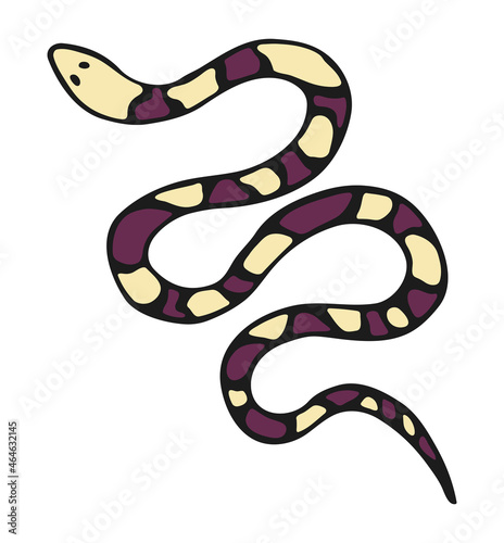 Vector isolated element, snake. Snake with a pattern. Hand drawn colored illustration. Design for card, print, logos, poster. Halloween theme. Animal theme.