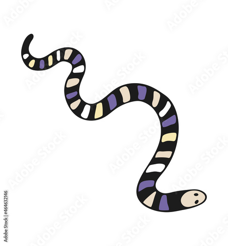 Vector isolated element, snake. Snake with a pattern. Hand drawn colored illustration. Design for card, print, logos, poster. Halloween theme. Animal theme.