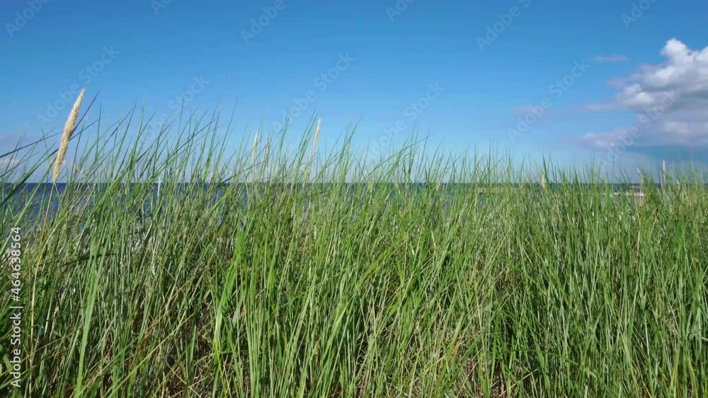 Ostsee Urlaub - Strand Dünen mit Seegras Blick auf das Meer