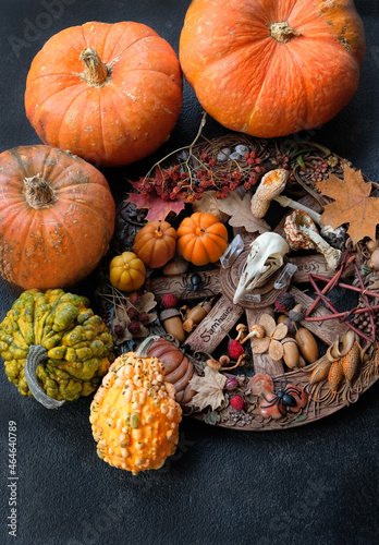 Wiccan witch altar, wheel of the year on dark background. Bird skull, magic things, ripe pumpkins. esoteric ritual for samhain sabbat. autumn season. photo