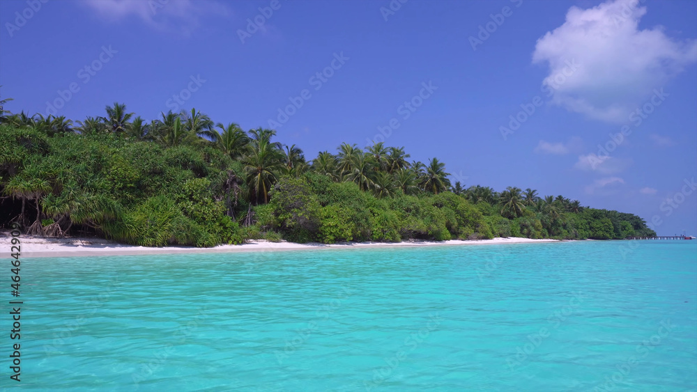 Coastline, sand, palm trees, ocean breeze