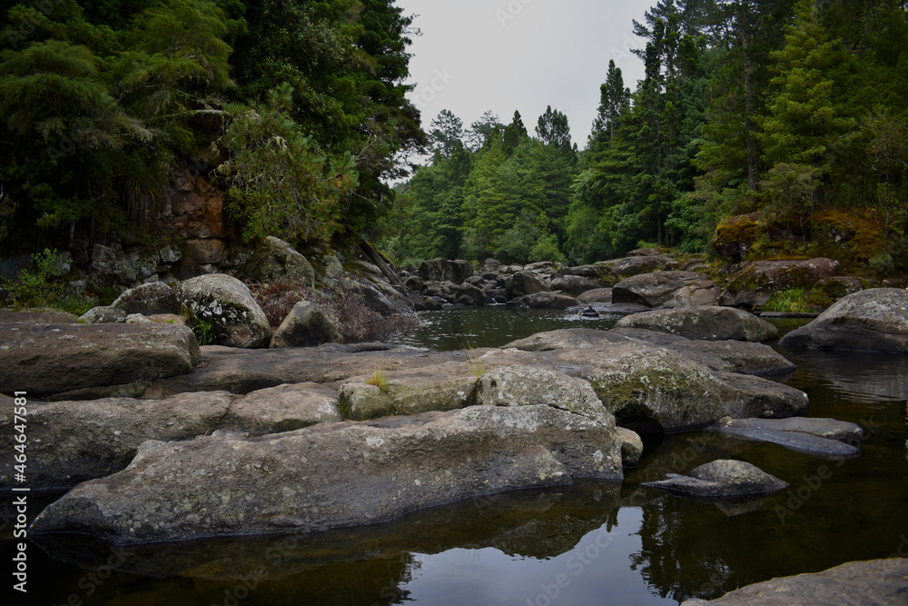 New Zealand, McLaren Falls Park, Tauranga New Zealand, McLaren Falls Park, Tauranga