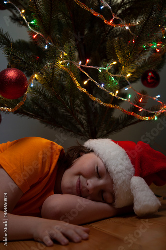 Portrait of happy boy sleep under Christmas tree. © Chepko Danil
