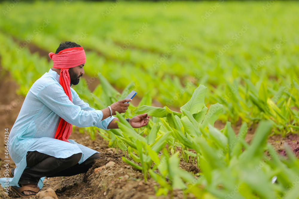 Fototapeta premium Indian farmer using smartphone at agriculture field