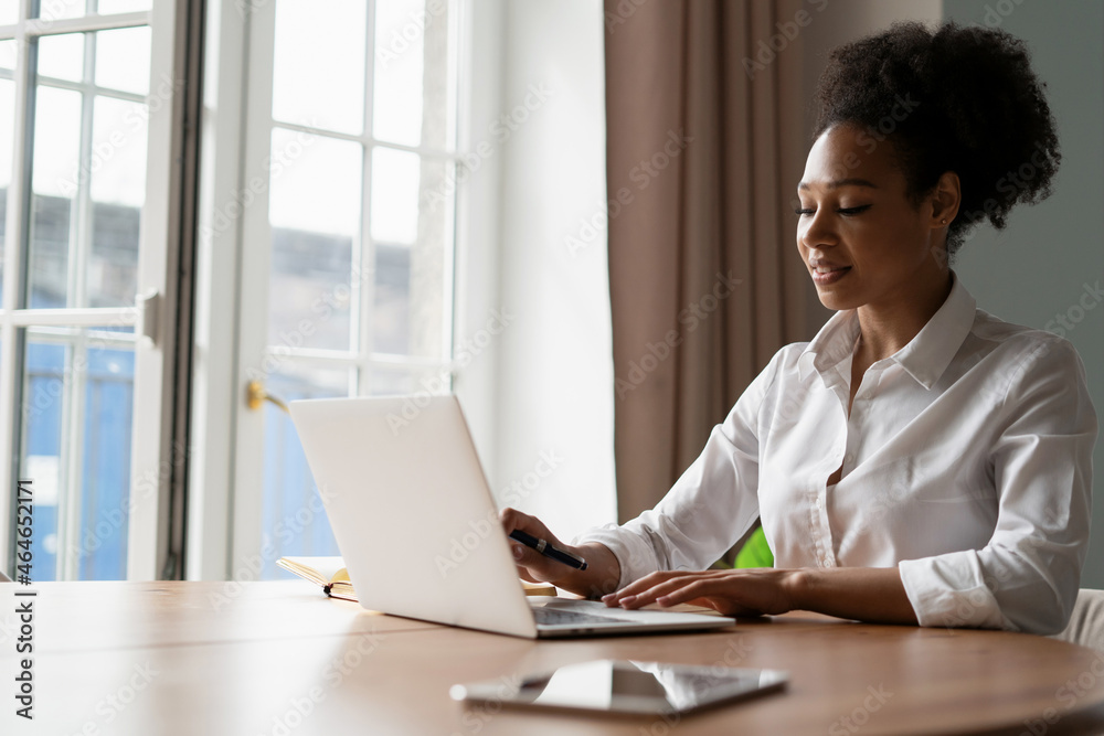 A student surf the internet in search of information. The woman smiles and writes a message to the client by mail. Work at home online on a computer. The hostess keeps records on the Internet. A student surf the internet in search of information. The woman smiles and writes a message to the client by mail. Work at home online on a computer. The hostess keeps records on the Internet.