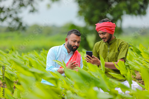 Indian farmers using smartphone at green turmeric agriculture field.
