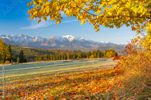 Fototapeta Naklejka Na Ścianę i Meble -  Moutain landscape, Tatra mountains panorama, colorful autumn view from Lapszanka pass, Poland and Slovakia