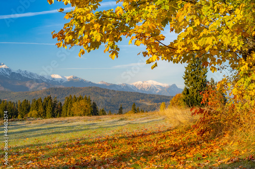 Fototapeta Naklejka Na Ścianę i Meble -  Moutain landscape, Tatra mountains panorama, colorful autumn view from Lapszanka pass, Poland and Slovakia