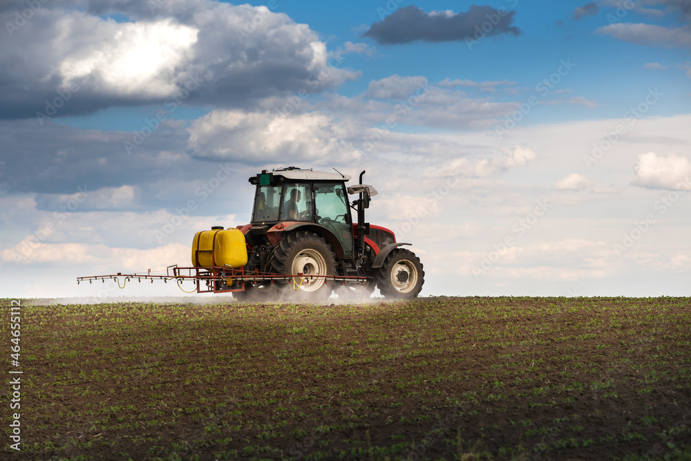 Tractor spraying soy field in sunset. Tractor spraying soy field in sunset.
