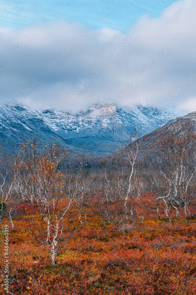 Naklejka premium Autumn arctic landscape. View of the misty snow-capped mountains and autumn colorful tundra in the Arctic,Kola Peninsula. Mountain hikes and adventures. Austere, cold atmosphere. 