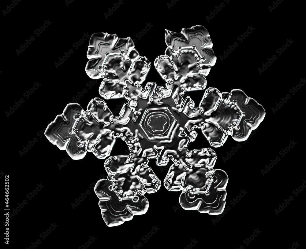 White snowflake isolated on black background. Illustration based on macro photo of real snow crystal: elegant star plate with short, broad arms, glossy relief surface and complex inner details.