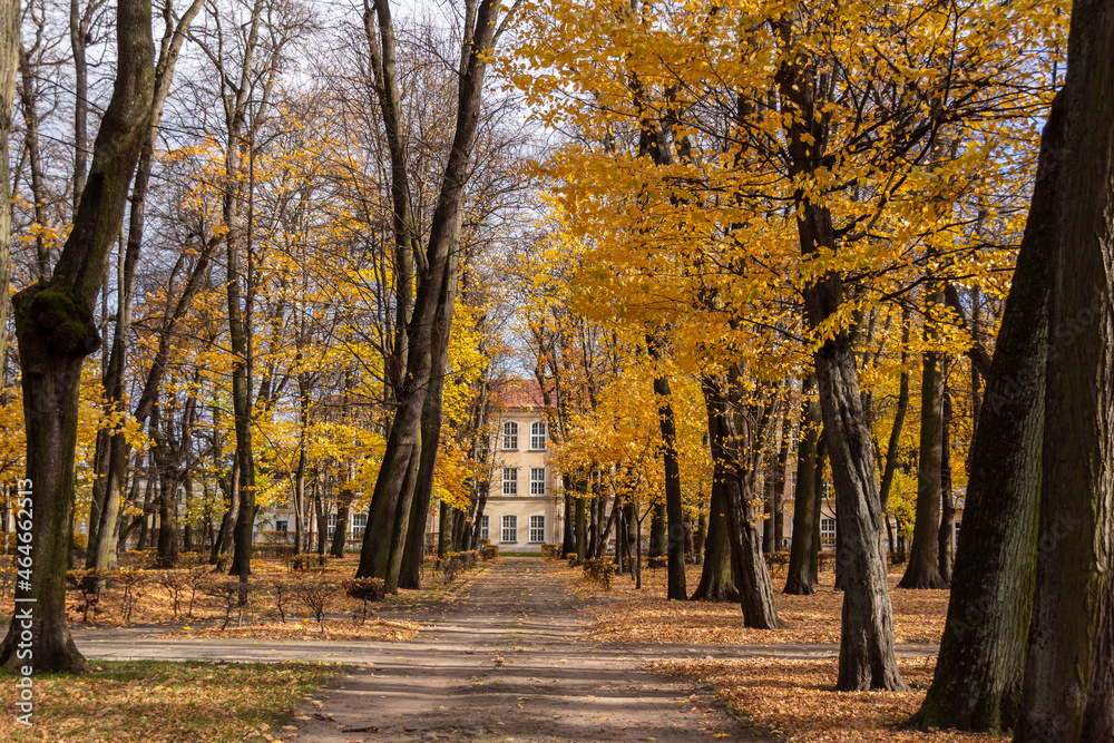 Wersal Podlasia, Jesień w Parku Branickich, Białystok	
