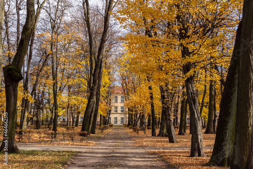 Wersal Podlasia, Jesień w Parku Branickich, Białystok 