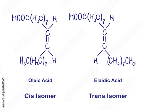 Cis and Trans isomerism. Oleic acid with Elaidic Acid chemical structure. Vector illustration Hand drawn.