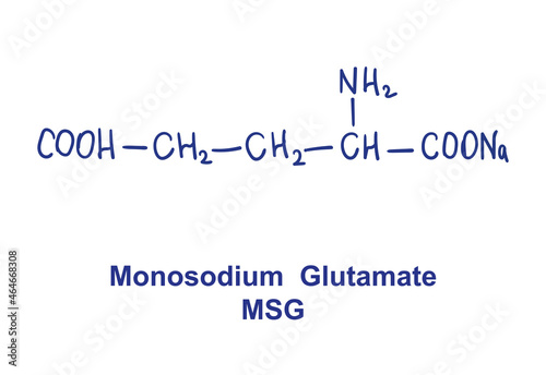 Monosodium glutamate MSG chemical structure. Vector illustration Hand drawn
