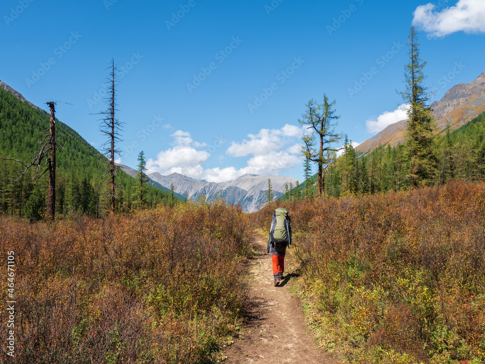 Heavy climb in the mountains with a backpack. Travel lifestyle, hiking hard track, adventure concept in autumn vacation. Hiking in the picturesque autumn mountains.