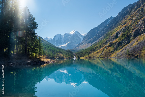 Amazing clear mountain lake in forest among fir trees in clear sunny day. Scenery with turquoise lake against the background of snow-capped mountains under blue sky. Lower Shavlin Lake  Altai.