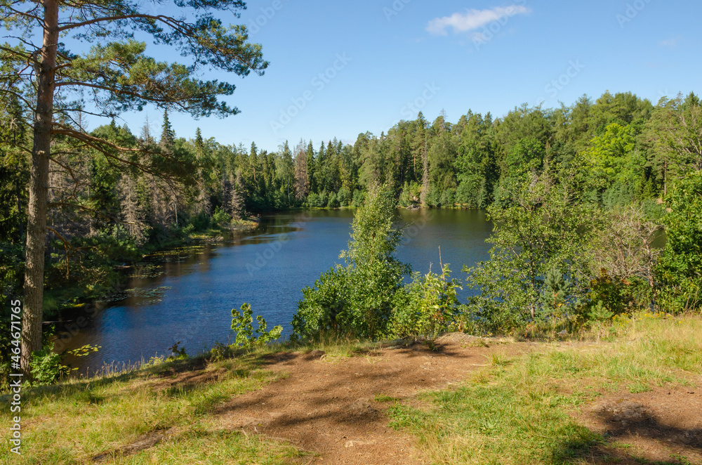 A beautiful forest lake on a quiet summer day. Horizontal photo of northern nature A beautiful forest lake on a quiet summer day. Horizontal photo of northern nature