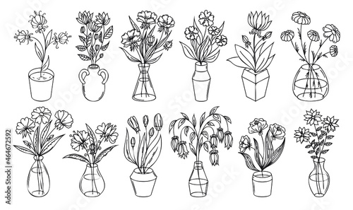 Flowers outline illustration with vase and pot isolated on white background. Vector floral set  house plant line art illustration  flower drawing linear collection.