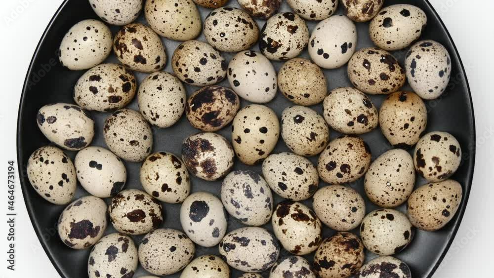 Rotating Quail Eggs On A Black Plate On A White Background. Top View. Close Up. Rotating Quail Eggs On A Black Plate On A White Background. Top View. Close Up.