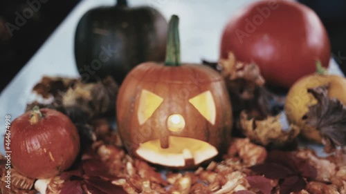 jack o lantern autumn still life
