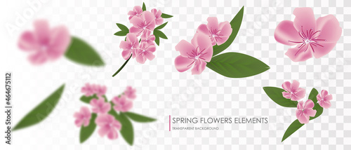 Flying petals and spring flowers..transparent background