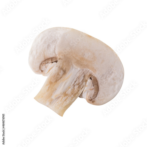 White champignon mushrooms, Champignon Isolated on White Background