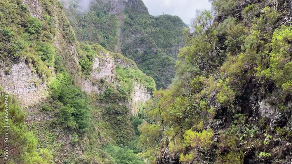 Auf der Insel Madeira Auf der Insel Madeira
