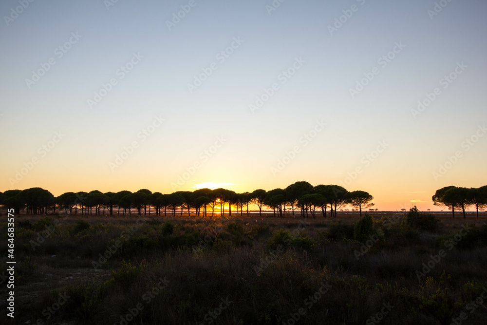 Obraz premium beautiful sunset on a beach Rinia, close to durres, Albania