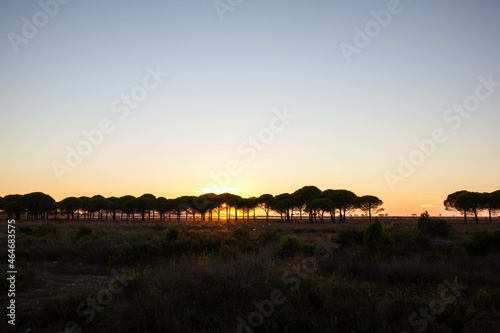 beautiful sunset on a beach Rinia  close to durres  Albania