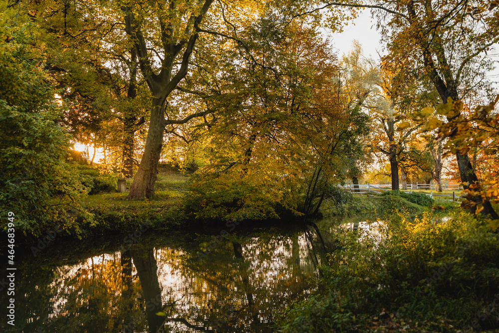 autumn trees near pond, trees with rays of the sun 