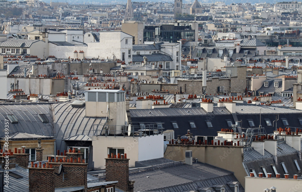 Fototapeta premium View panoramic of the rooftops of Paris